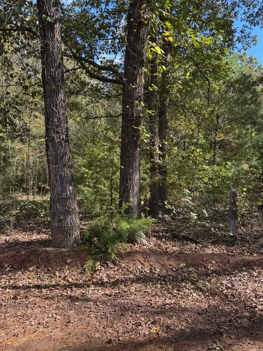 7248 Ginger Rd, Gilmer, TX 75644 - Image #3