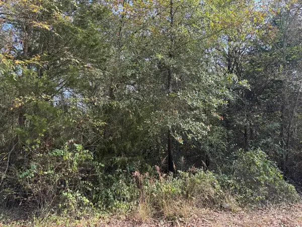 148 Buffalo Springs Rd, Mabank, TX 75156