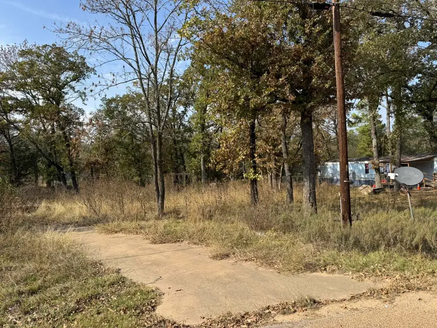 160 Indian Gap, Mabank, TX 75156 - Image #3