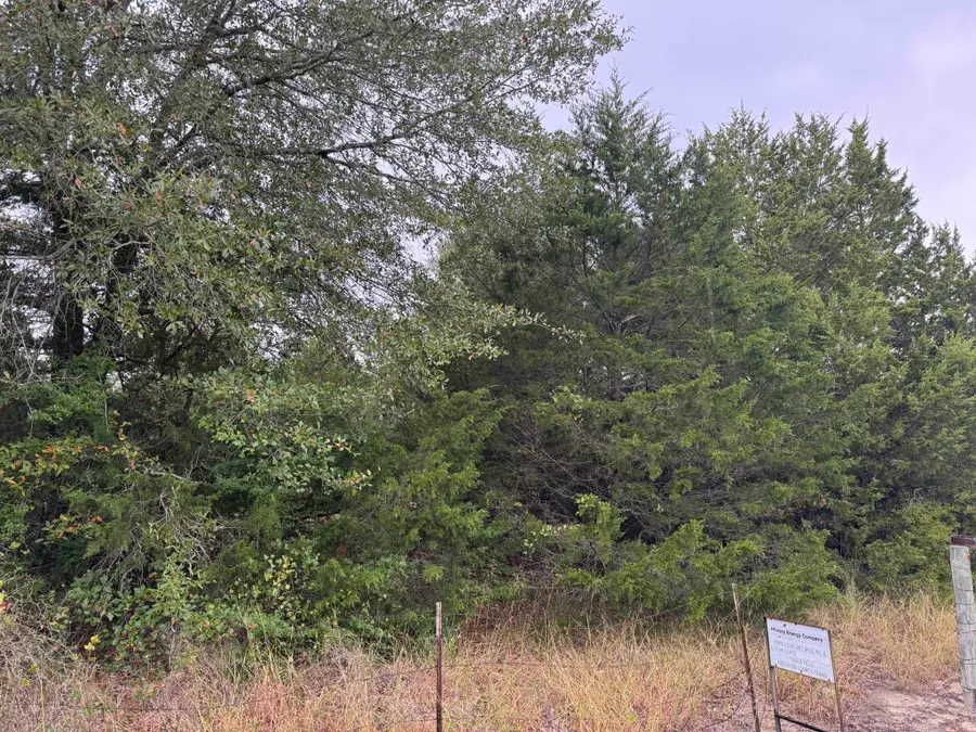 CR 660, Out of Area, TX 75860 - Image #2