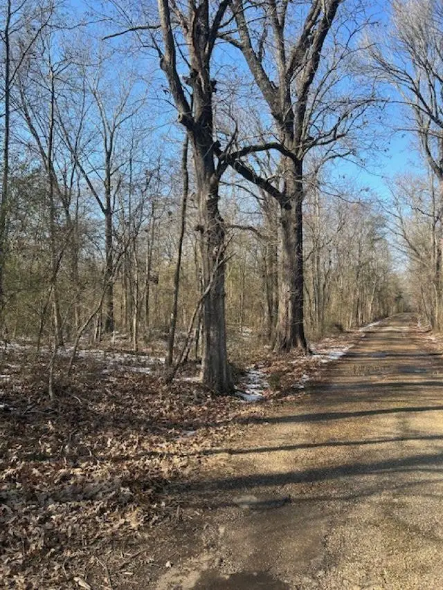 County Road 3357, Omaha, TX 75571 - Image #1