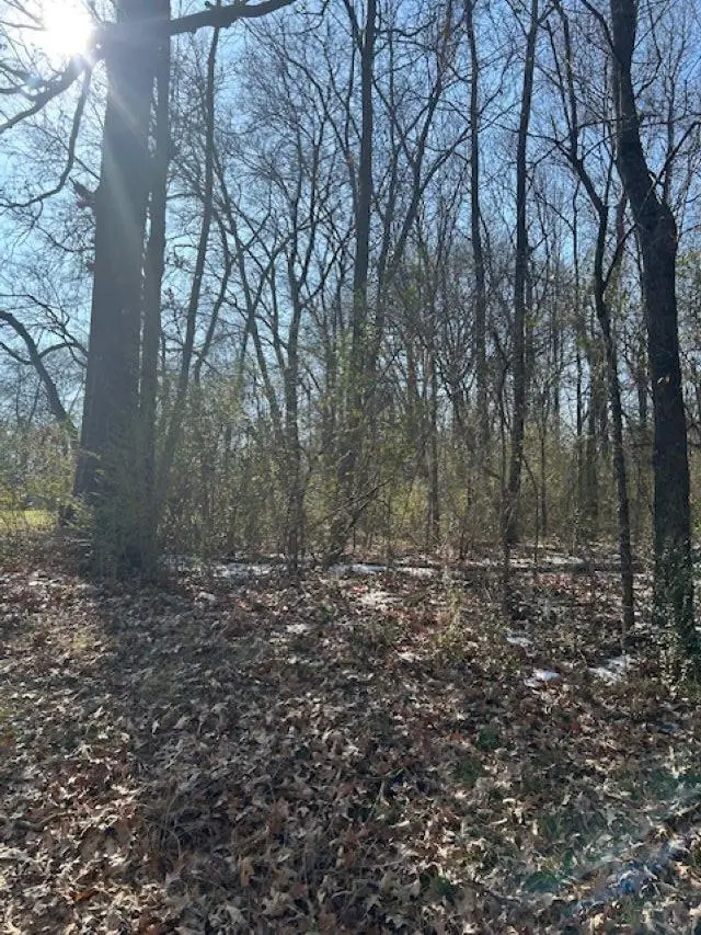 County Road 3357, Omaha, TX 75571 - Image #2