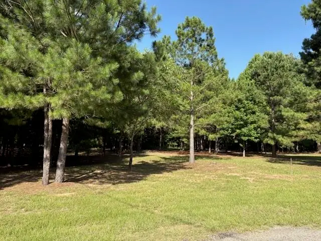 208 Pack Saddle Ridge, Holly Lake Ranch, TX 75765 - #1