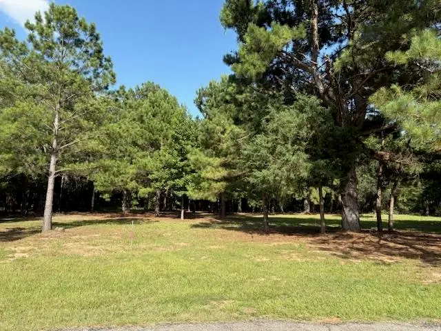 208 Pack Saddle Ridge, Holly Lake Ranch, TX 75765 - #2