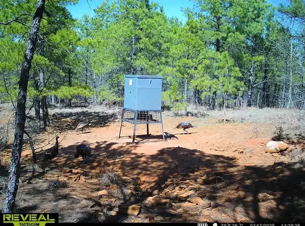 TBD Radio Rd, Lone Star, TX 75668