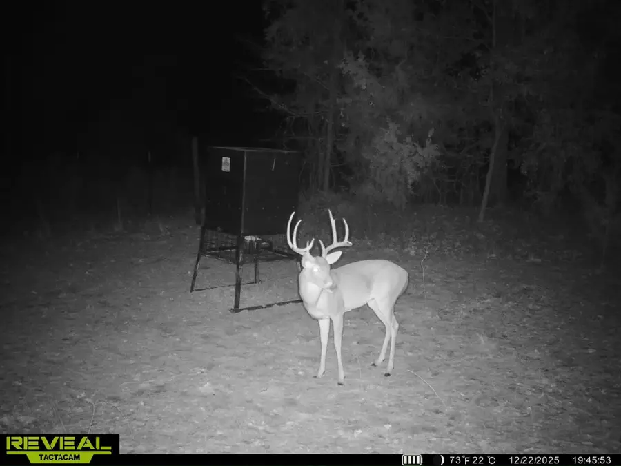 TBD Radio Rd, Lone Star, TX 75668 - #2