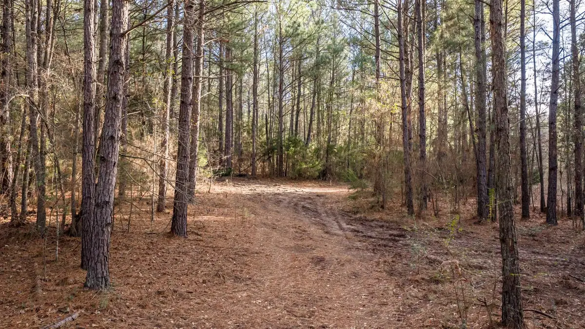 15257 FM 729, Avinger, TX 75630 - #1