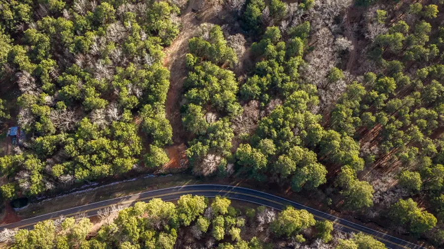 15257 FM 729, Avinger, TX 75630 - #3