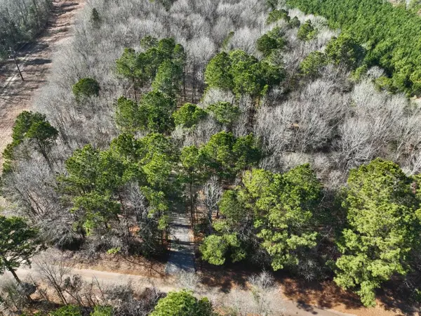 TBD CR 3439, Atlanta, TX 75551-0000