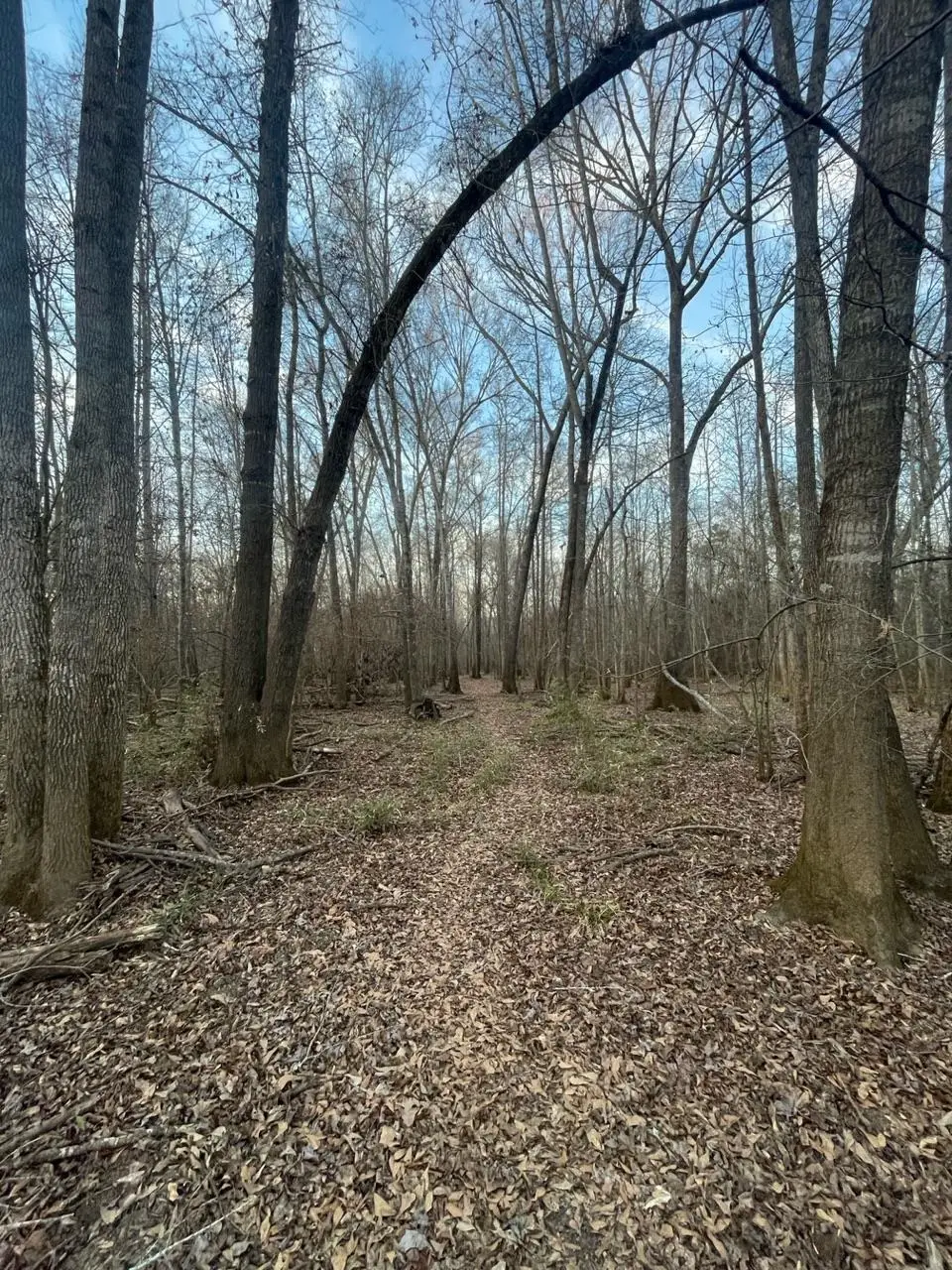 TBD State Highway 135, Troup, TX 75789 - #1