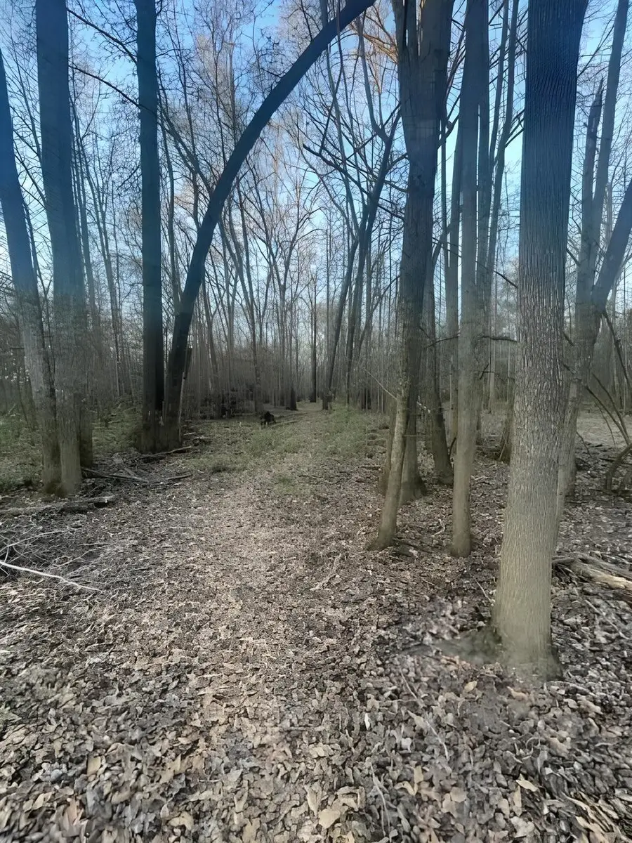 TBD State Highway 135, Troup, TX 75789 - #2