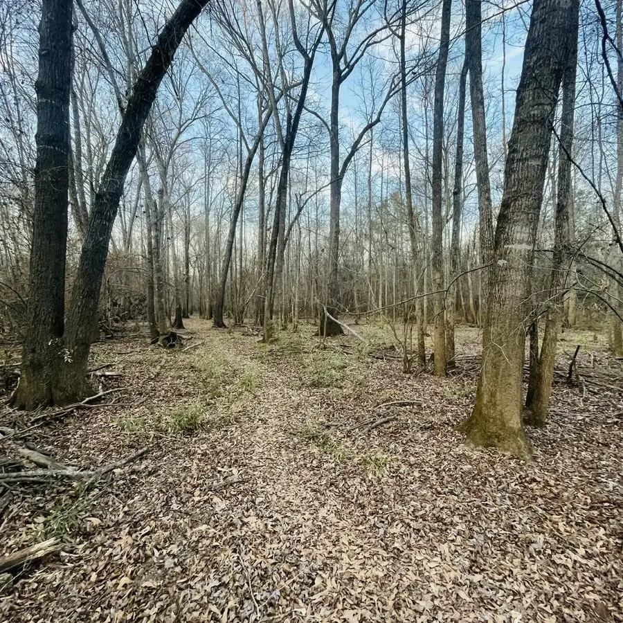 TBD State Highway 135, Troup, TX 75789 - #3