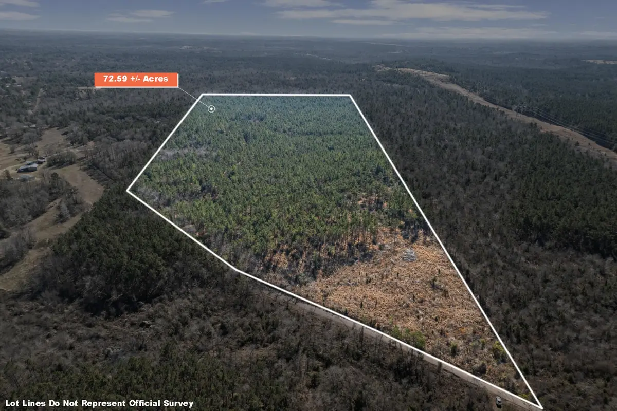 TBD NASTURTIUM RD, Ore City, TX 75683 - #1