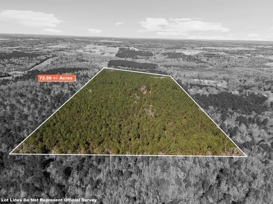 TBD NASTURTIUM RD, Ore City, TX 75683 - #3