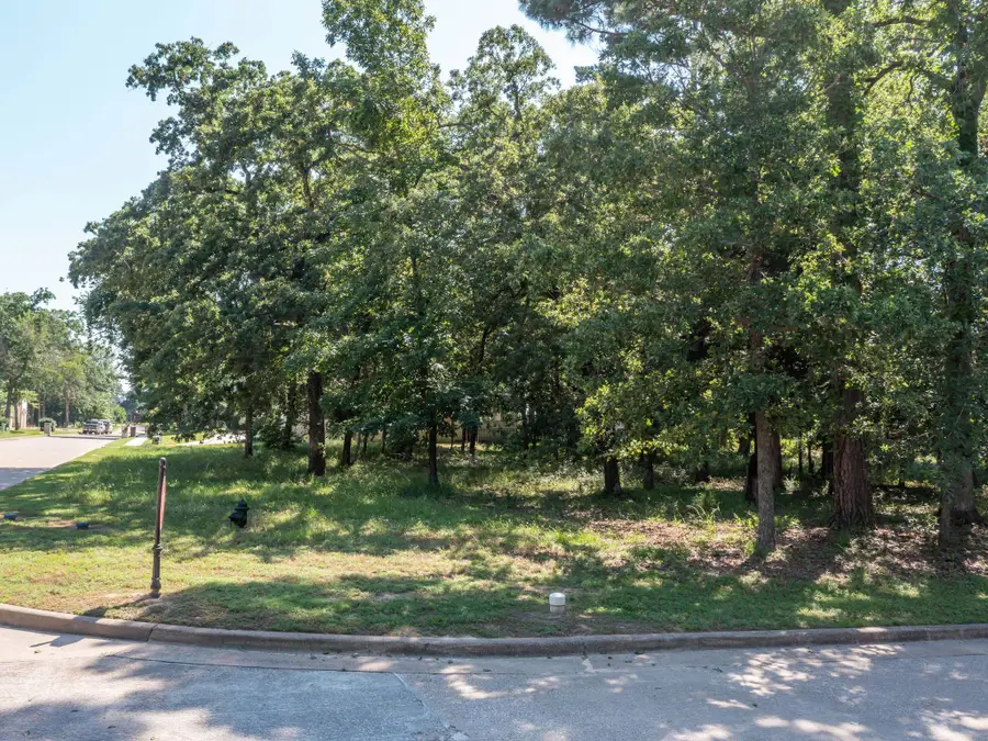 160 E Eagles Bluff Blvd, Bullard, TX 75757 - #2