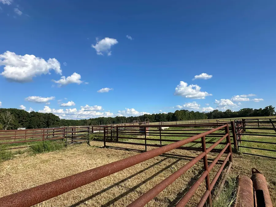 4642 N FM 450, Hallsville, TX 75650 - #3