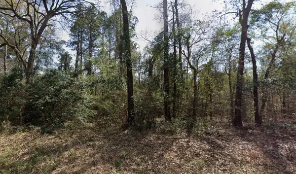 TBD Ashwood Dr. #Lot 205, Gilmer, TX 75645