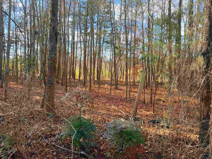 0.68 Ac TBD Mt. Carmel Road, Jefferson, TX 75657 - #2