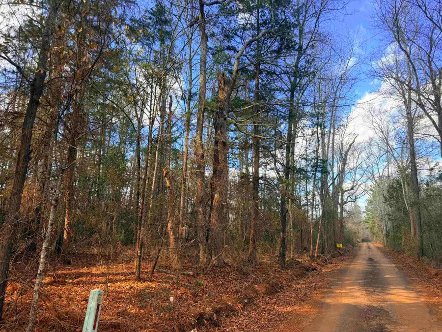 0.68 Ac TBD Mt. Carmel Road, Jefferson, TX 75657 - #3