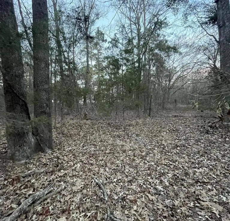 TBD County Road 2182, Whitehouse, TX 75791 - #1