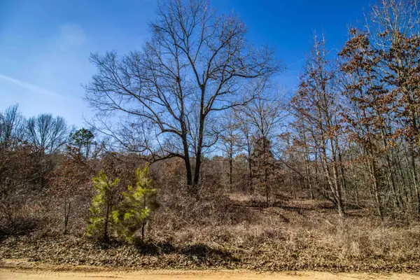 TBD Green Forest Ln, Texarkana, TX 75501