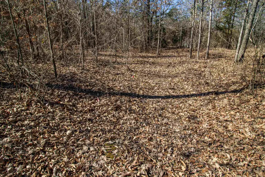 TBD Green Forest Ln, Texarkana, TX 75501 - #2