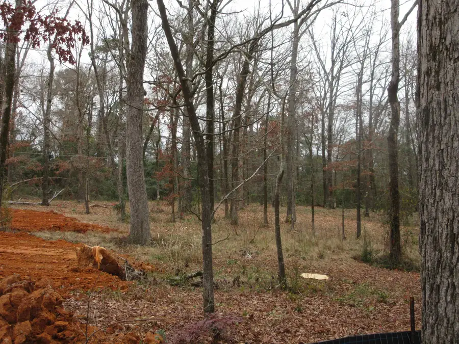 tbd Yates Dr, Longview, TX 75601 - #2