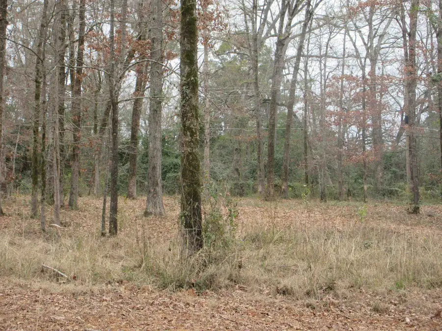 tbd Yates Dr, Longview, TX 75601 - #3