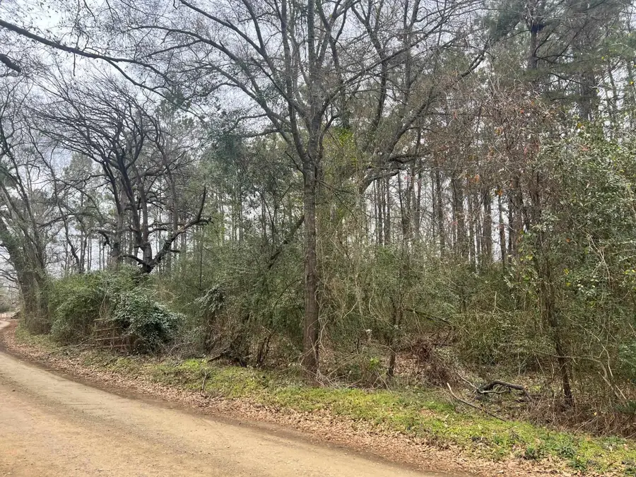 607 County Rd 3140, Center, TX 75935 - #2