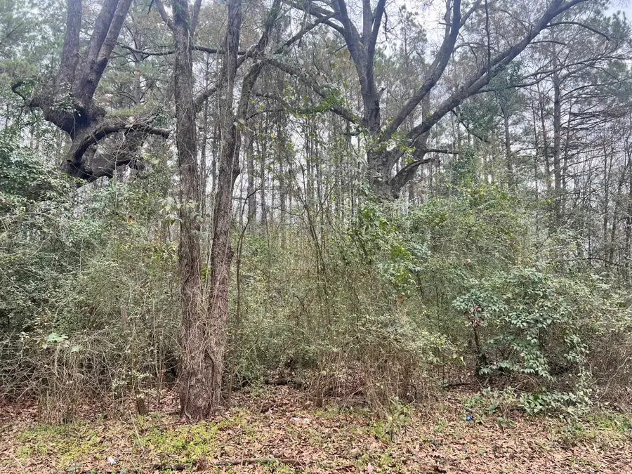 607 County Rd 3140, Center, TX 75935 - #3