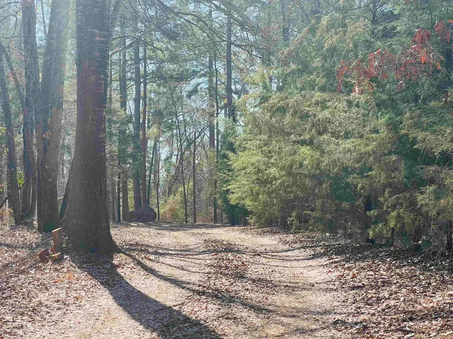 6961 CR 447, Laneville, TX 75667 - #2