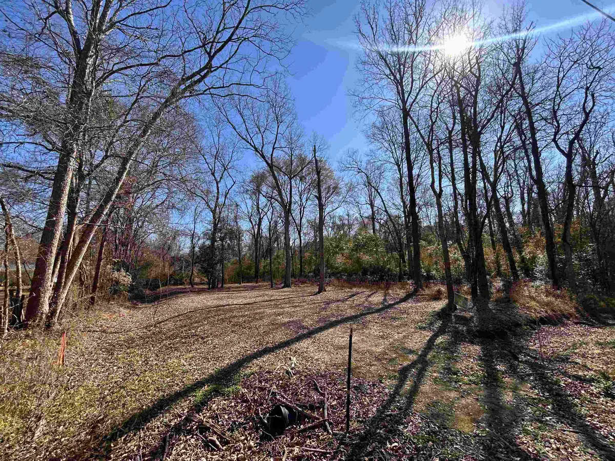 TBD S Alley, Jefferson, TX 75657 - #1