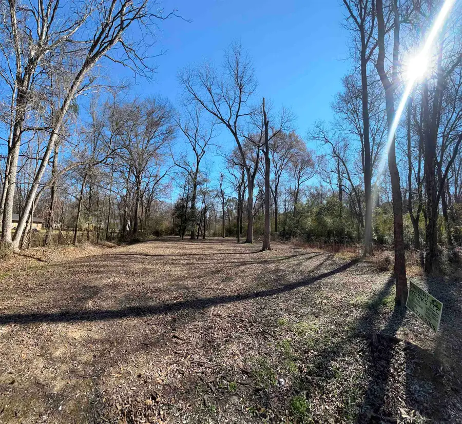 TBD S Alley, Jefferson, TX 75657 - #3