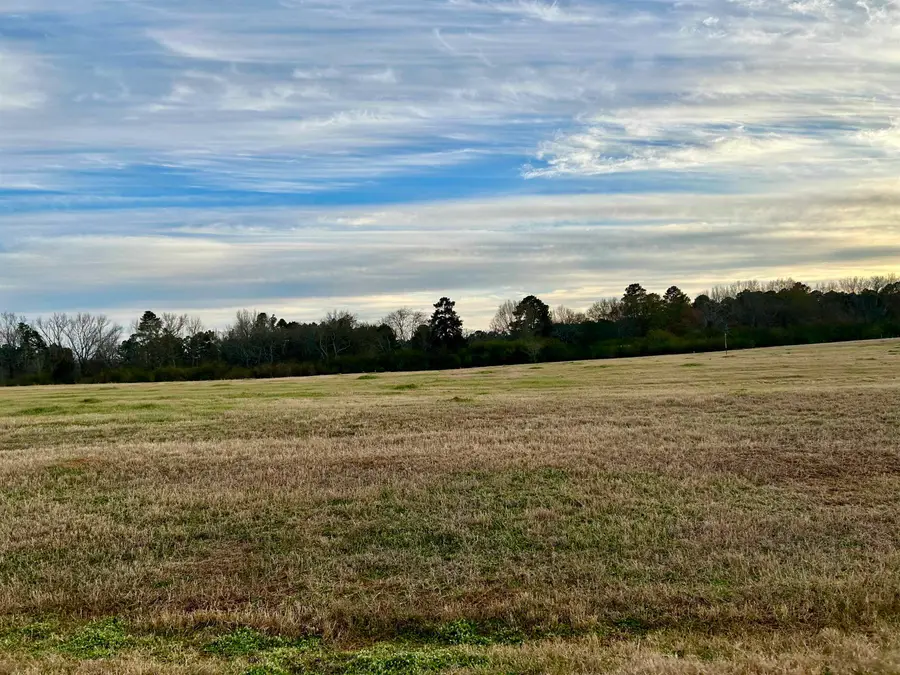 172 Brightside Trl, Kilgore, TX 75662 - #3