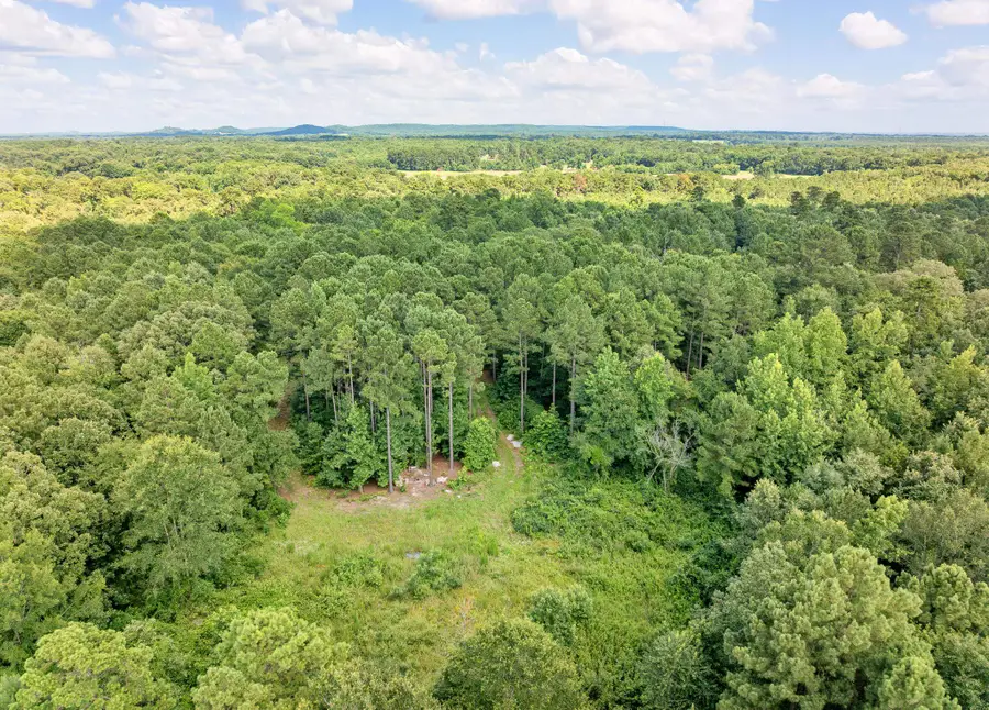 993 Dahlia Rd., Gilmer, TX 75644 - #2