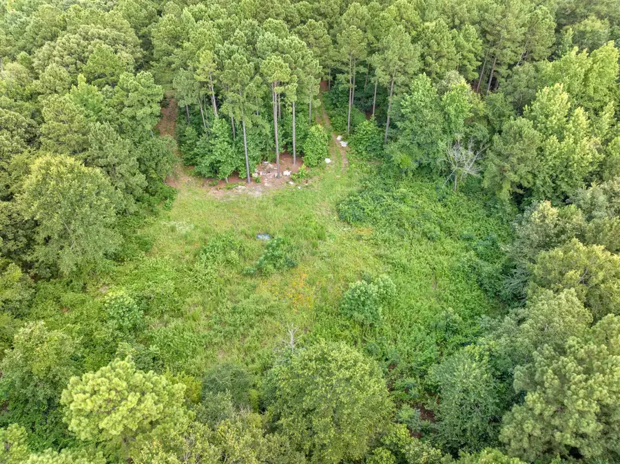 993 Dahlia Rd., Gilmer, TX 75644 - #3