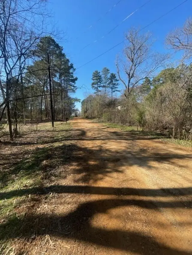 214 Forest, Bullard, TX 75757 - #1