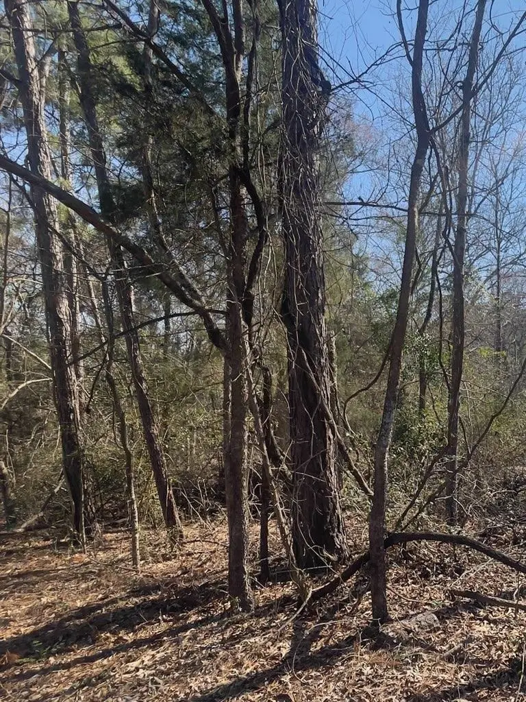 214 Forest, Bullard, TX 75757 - #2