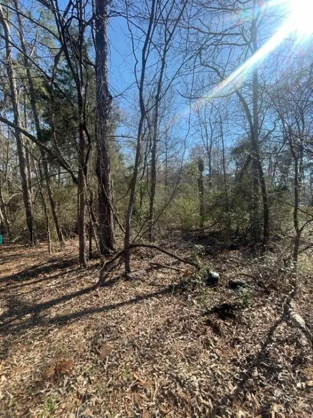 214 Forest, Bullard, TX 75757 - #3