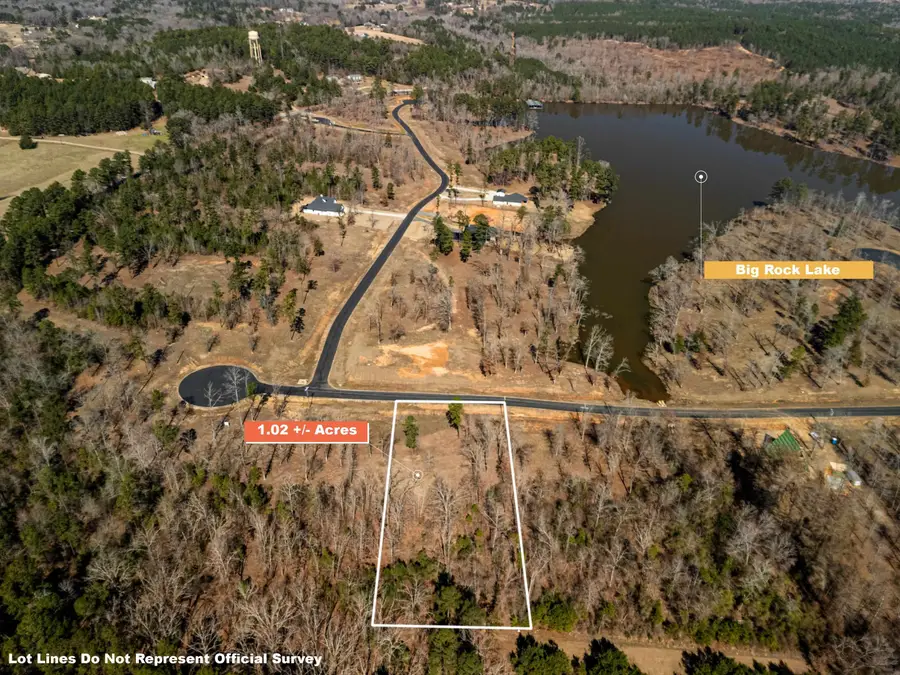 Lot 68 Big Rock Lake, Hallsville, TX 75650 - #3