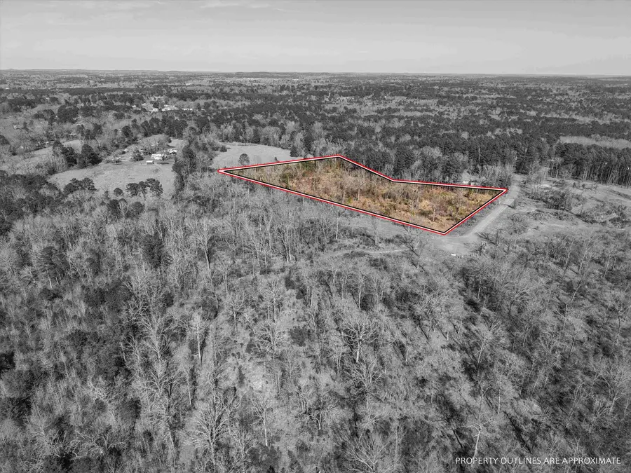 LOT #5 TBD PRIVATE ROAD 1109, Diana, TX 75640 - #2