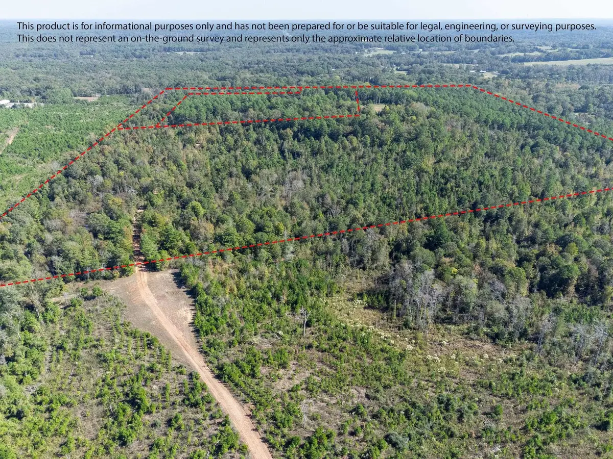 TBD 50 acres Coppedge Smith Rd, Harleton, TX 75651 - #1