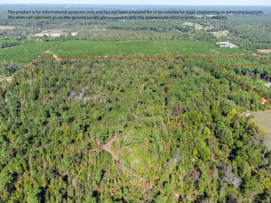 TBD 50 acres Coppedge Smith Rd, Harleton, TX 75651 - #2