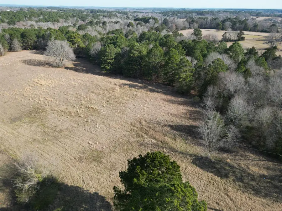 TBD Noonday Rd W, Hallsville, TX 75650 - #2