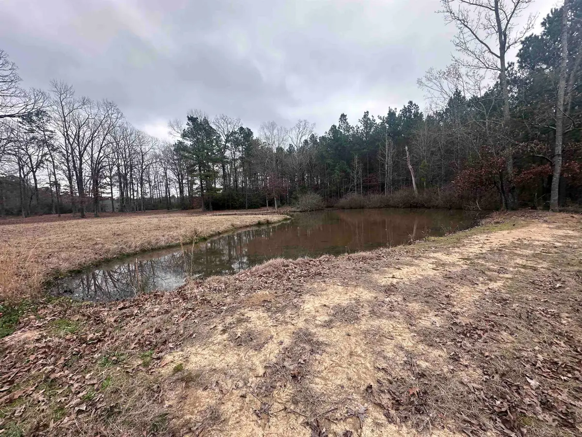 TBD County Road 2385, Shelbyville, TX 75973 - #1