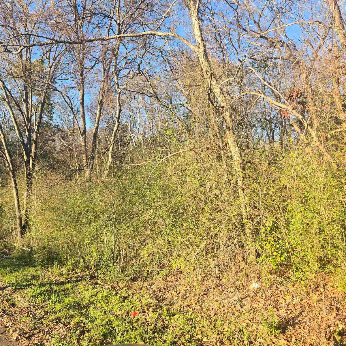 TBD ROLLING WOOD HILS SUB DIVISION, Bullard, TX 75757-9999 - #1