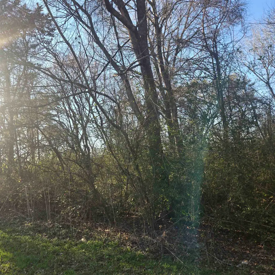 TBD ROLLING WOOD HILS SUB DIVISION, Bullard, TX 75757-9999 - #2