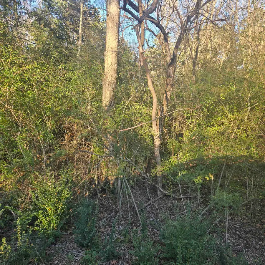 TBD ROLLING WOOD HILS SUB DIVISION, Bullard, TX 75757-9999 - #3