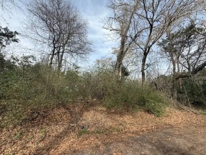 107 Hutto Street, Troup, TX 75789 - #2