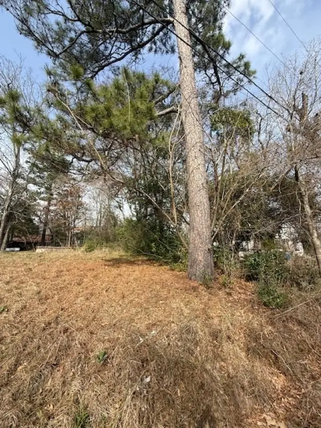 TBD W Paschal Street, Troup, TX 75789 - #2